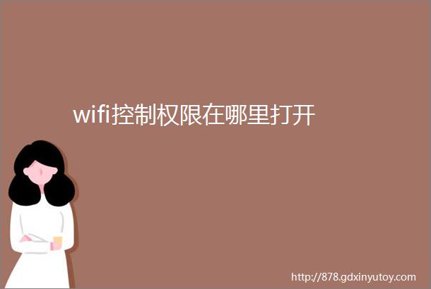 wifi控制权限在哪里打开